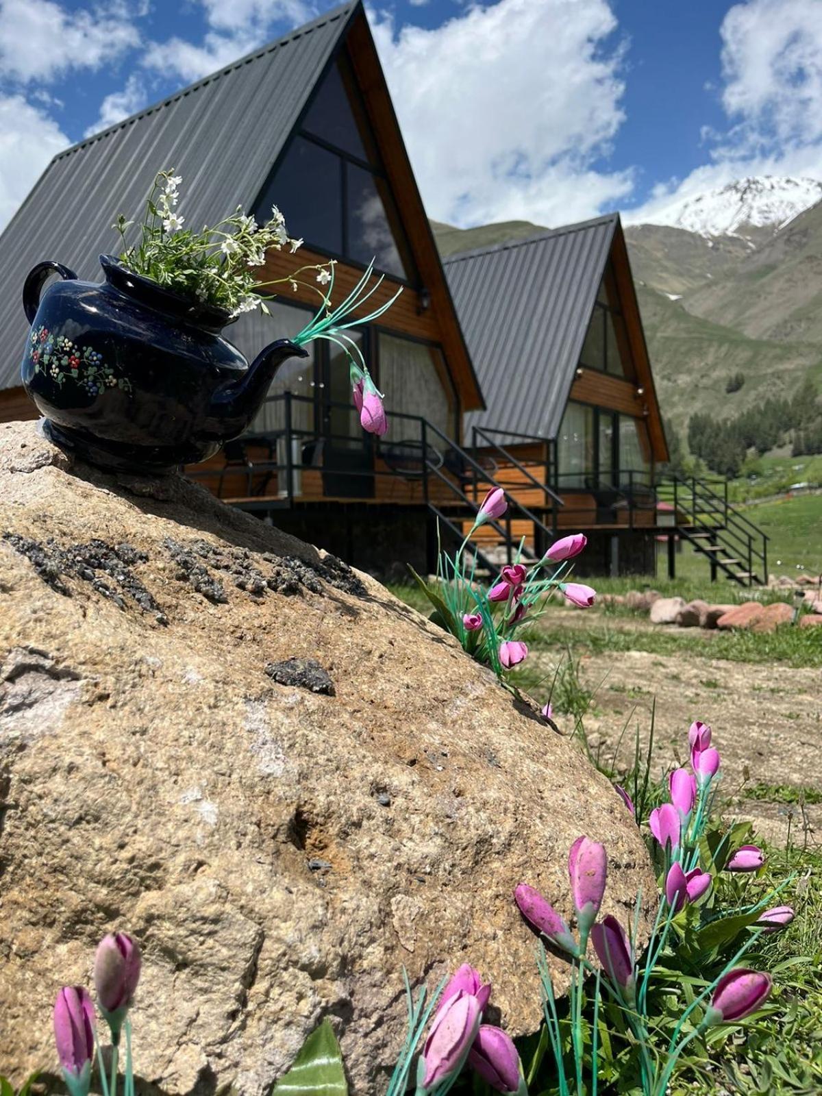 Mtisguli Cottages 卡兹贝吉 外观 照片