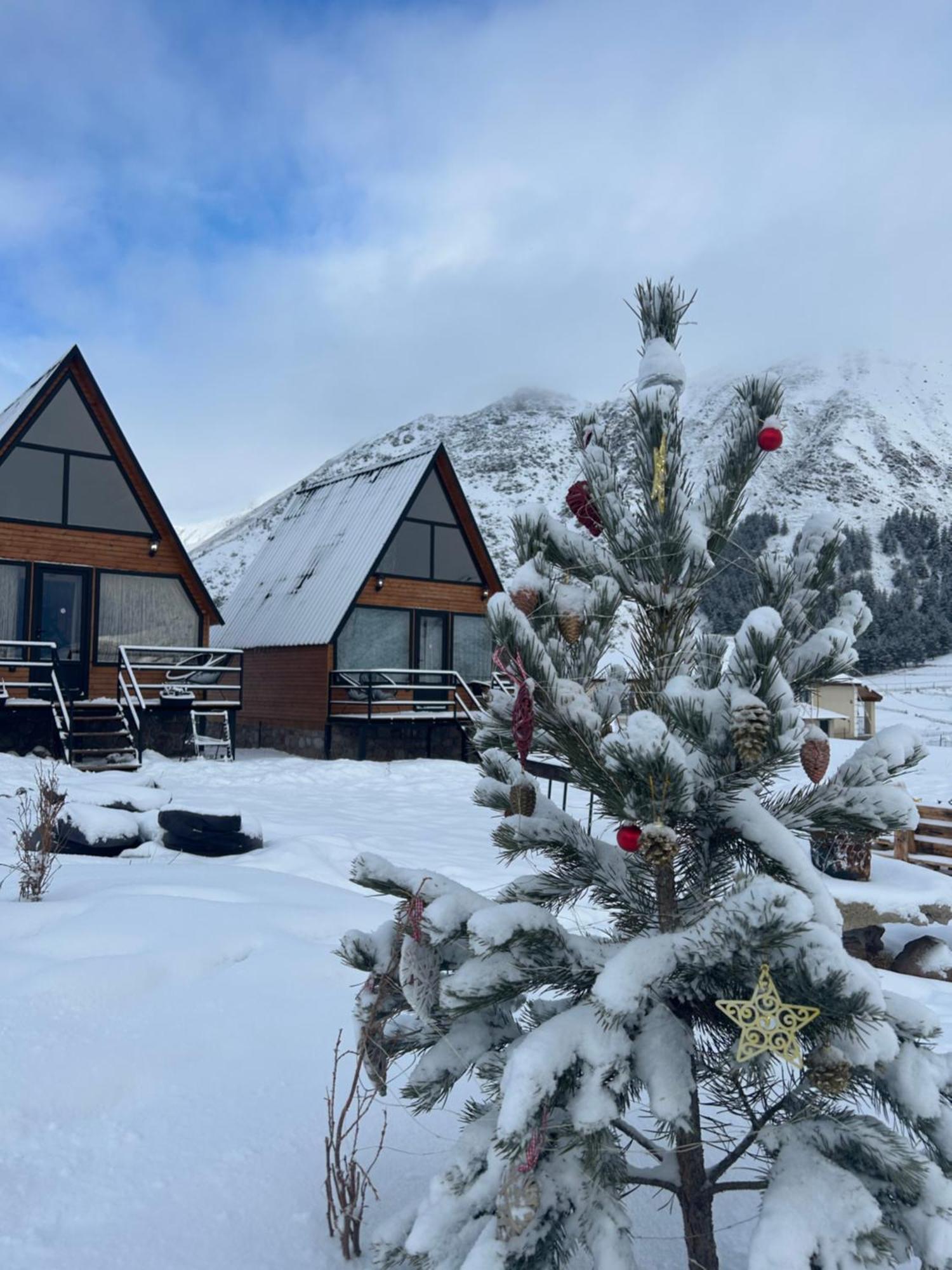 Mtisguli Cottages 卡兹贝吉 外观 照片